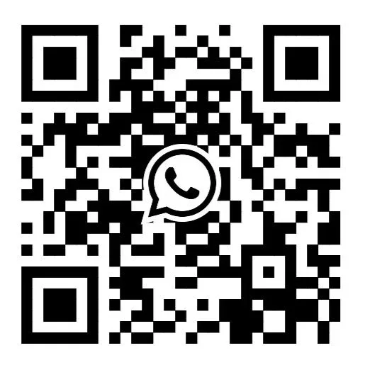 +86 19166213305